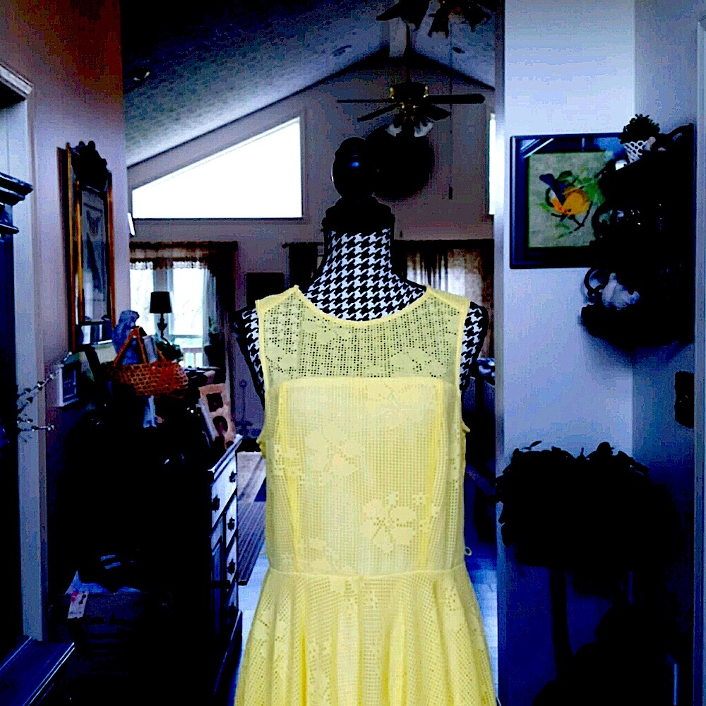 Rabbit Rabbit Rabbit DESIGNS Yellow Dress Size 10 - Picture 3 of 15